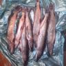 IMG_20130915_165901.jpg