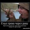1270813113_demotivator104.jpg
