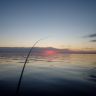 20180615_221150.jpg
