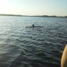 20140807_201856.jpg