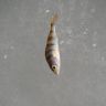 DSC09119.JPG