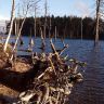 photo_00312.jpg