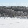 photo_00036.jpg
