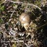 DSC03694.JPG