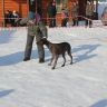 IMG_2980.JPG