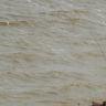 DSCN0992.JPG