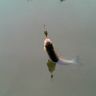 DSC00056.JPG