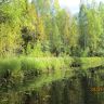 IMG_0355.JPG