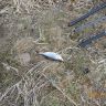 DSCN4940.JPG
