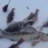 DSC02639.JPG