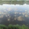 DSC00809.jpg