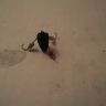 DSC01099.JPG