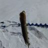 20140406_122656.jpg