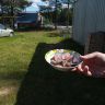 photo_00390.jpg