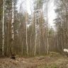 2012-05-01-322.jpg