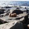 DSC03670.JPG