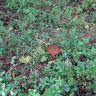 DSC03044.JPG