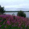 photo_00378.jpg