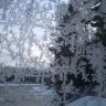 WP_20170103_15_24_36_Pro.jpg