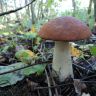 DSC01454.JPG