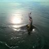 DSC00135.JPG