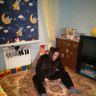 2013-01-08-1274.jpg