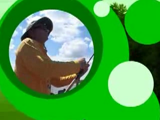   - , 