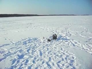 SAM_0385
