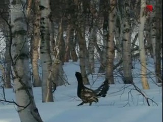  17. 