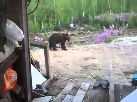 Пятеро мужчин  засняли свою смерть!!!!!