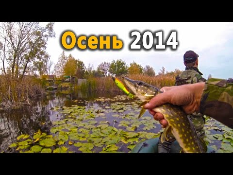    2014...