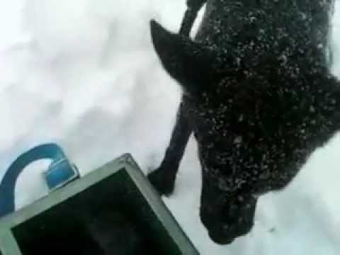 Касть, 19.03.2013, Вот такая х....я весна!