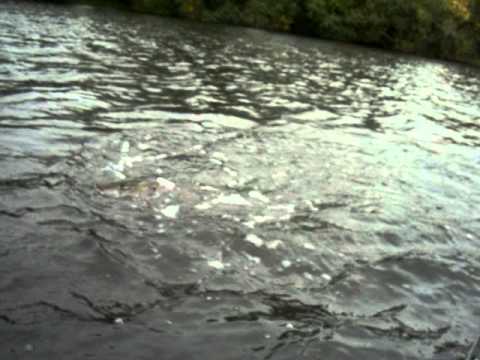  196.MOV