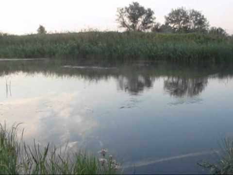    3   .wmv