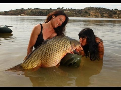 SEXY GIRL FISH A RECORD CARP 60 LBS by YURI GRISENDI