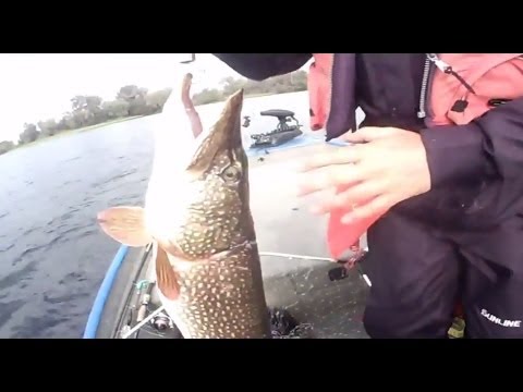   Pro Anglers League 2014.  -.  