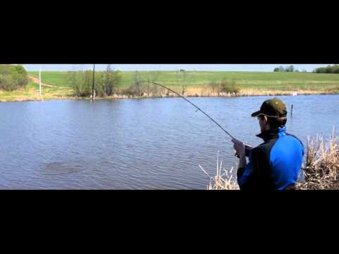 Trout Area - Forest (  )
