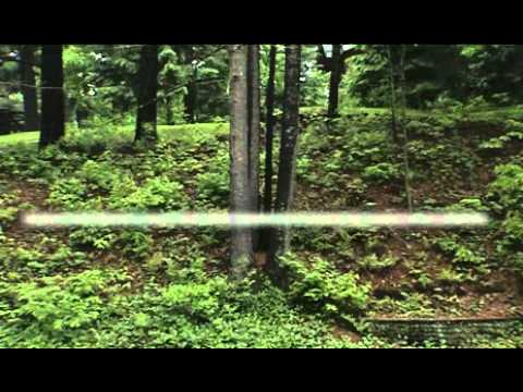 Fly Fishing Made Easy