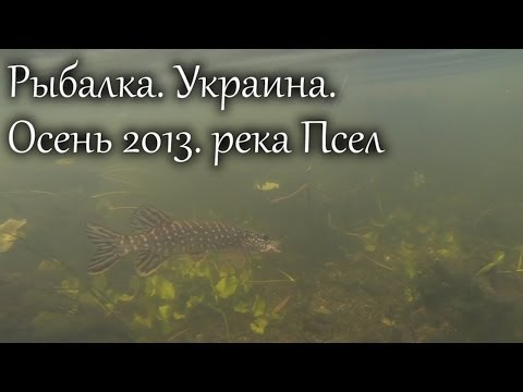 Рыбалка. Украина. Осень 2013. река Псел (Fishing. Ukraine. Autumn 2013 river Psel)