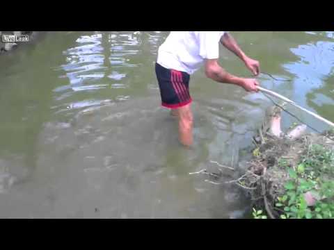     \ electric Fishing Pole fail