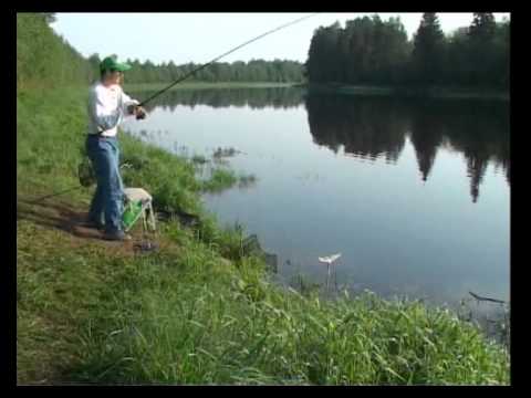 Feeder   - 10