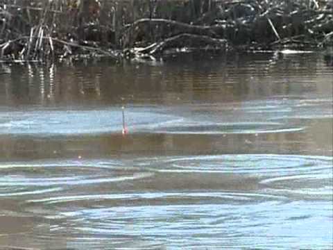    .wmv