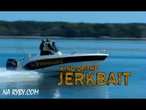 King of the Jerkbait