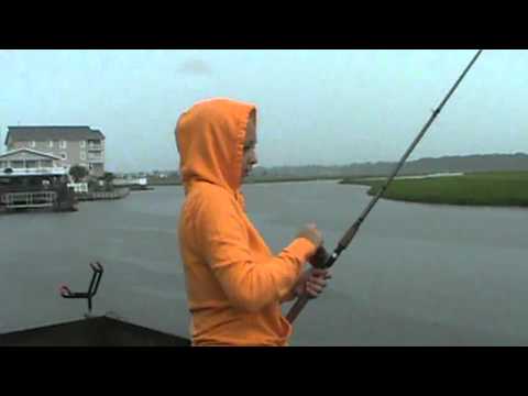 The one that got away! / shark bait