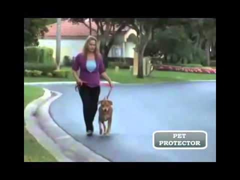 Pet Protector 