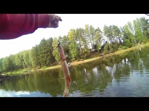 Fish Arrow Flash J 2"