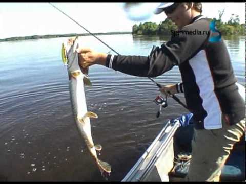  .    .flv
