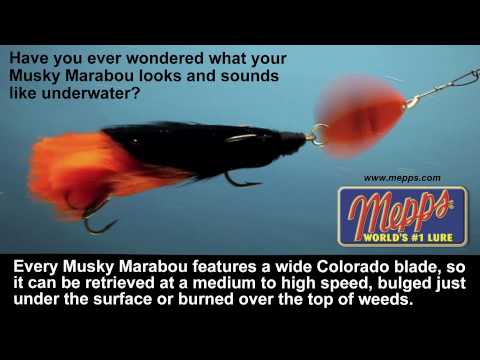 Musky Marabou
