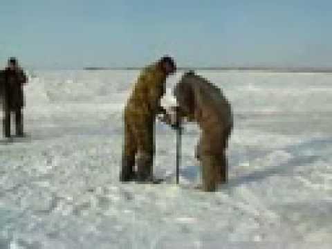       ))