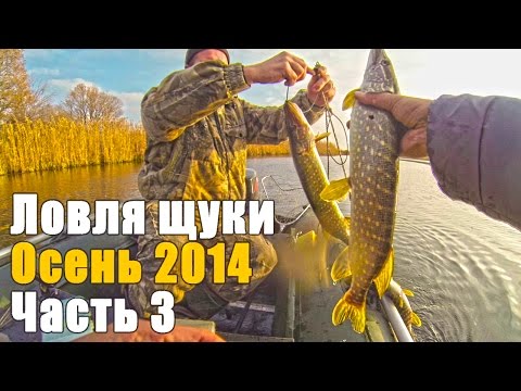  .  2014.  3...